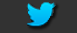 twitter logo